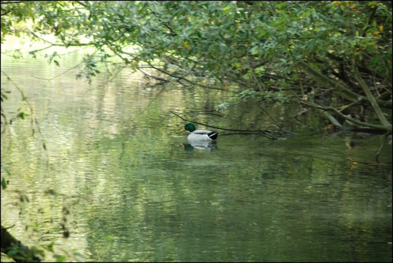 Escursione Lago Posta Fibreno